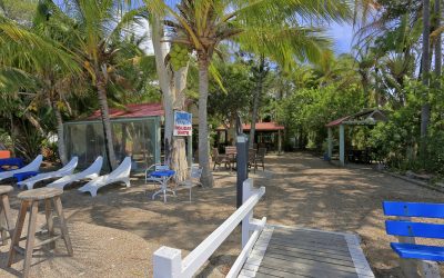 Beachfront Units in a tropical setting